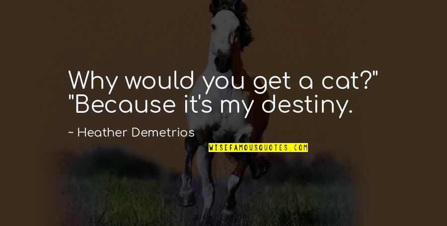 It My Destiny Quotes By Heather Demetrios: Why would you get a cat?" "Because it's