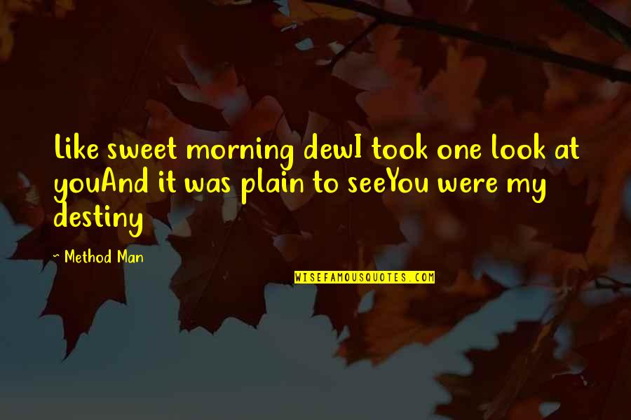 It My Destiny Quotes By Method Man: Like sweet morning dewI took one look at