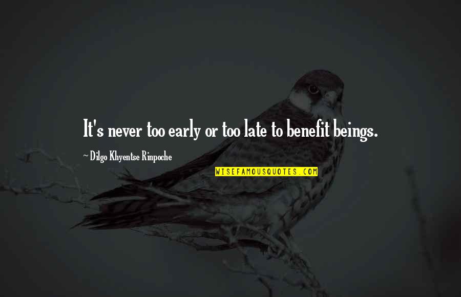 It Never Too Late Quotes By Dilgo Khyentse Rinpoche: It's never too early or too late to