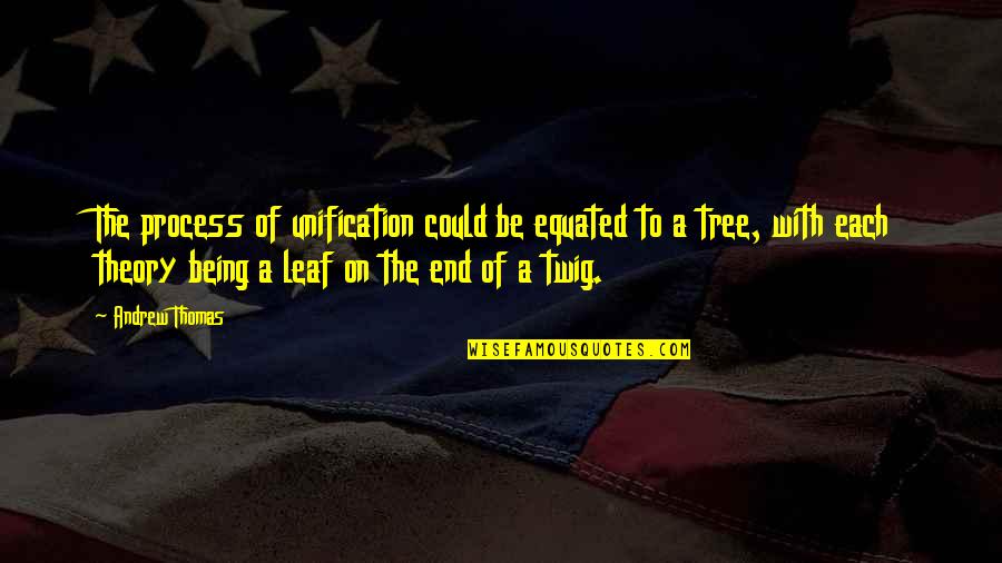 It Not Being The End Quotes By Andrew Thomas: The process of unification could be equated to