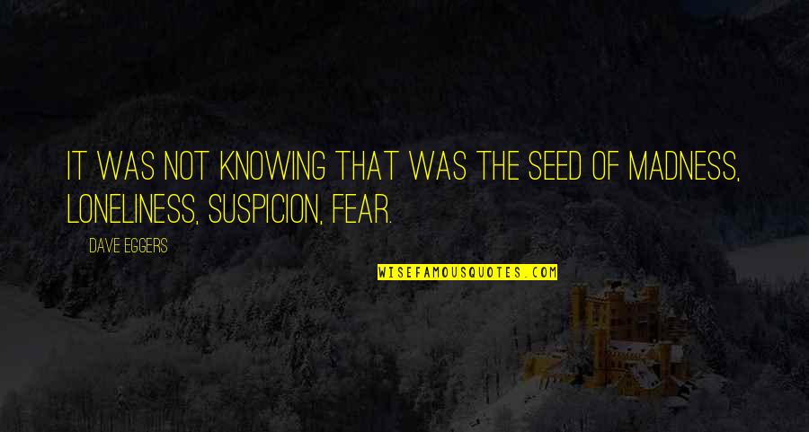 It Not Fear Quotes By Dave Eggers: It was not knowing that was the seed