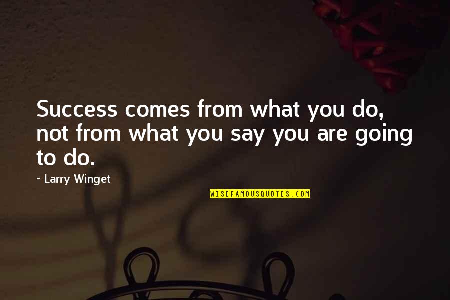 It Not What You Say It What You Do Quotes By Larry Winget: Success comes from what you do, not from
