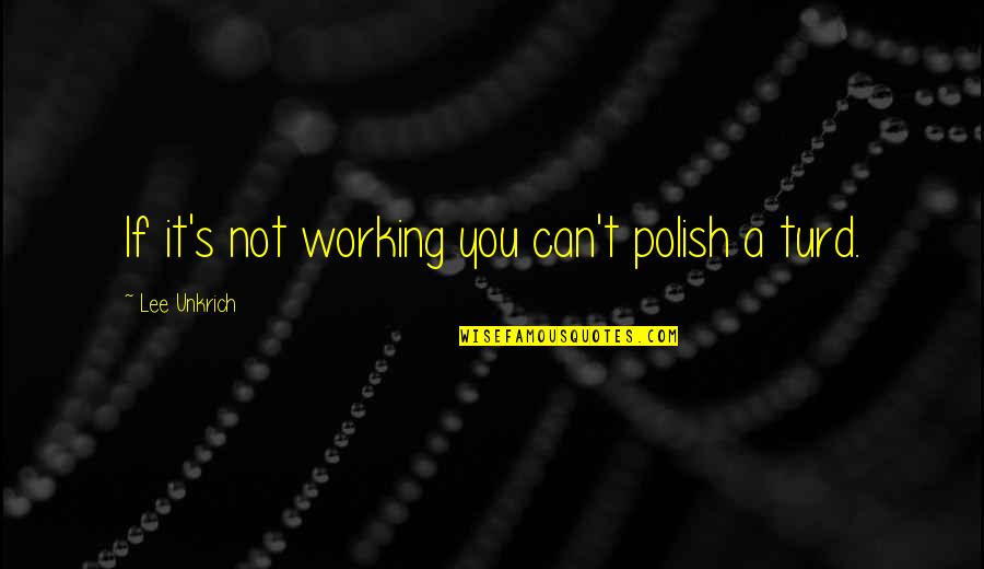 It Not Working Quotes By Lee Unkrich: If it's not working you can't polish a