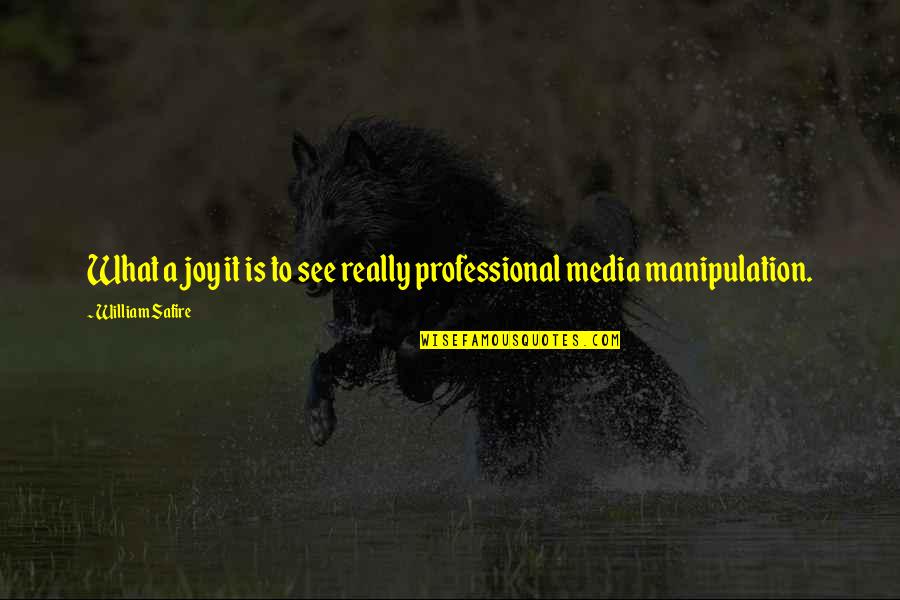It Professional Quotes By William Safire: What a joy it is to see really It Professional Quotes By William Safire: What a joy it is to see really