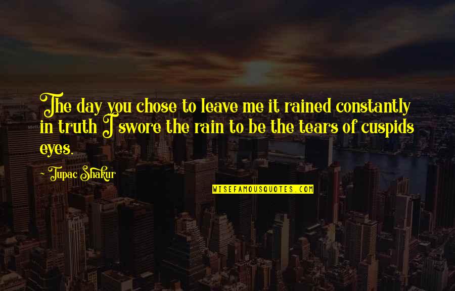 It Rained Quotes By Tupac Shakur: The day you chose to leave me it