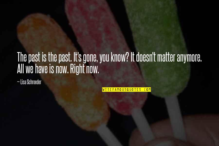 It Really Doesn't Matter Anymore Quotes By Lisa Schroeder: The past is the past. It's gone, you