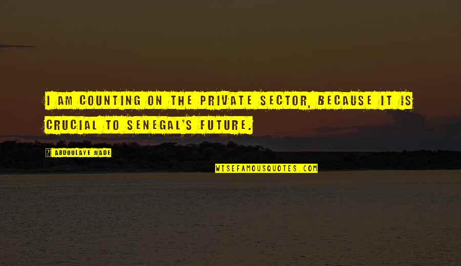 It Sector Quotes By Abdoulaye Wade: I am counting on the private sector, because