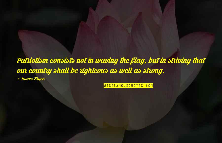 It Shall Be Well Quotes By James Bryce: Patriotism consists not in waving the flag, but