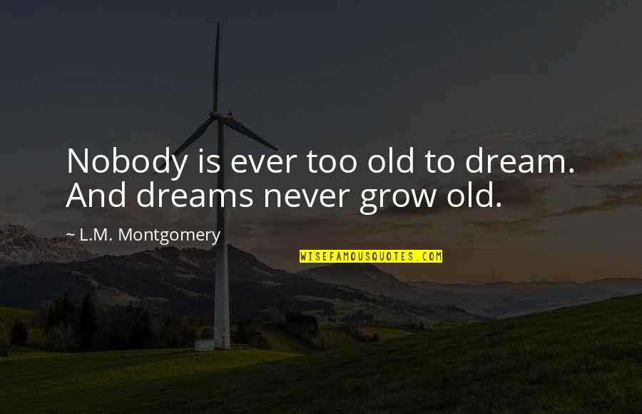 It So Windy Quotes By L.M. Montgomery: Nobody is ever too old to dream. And