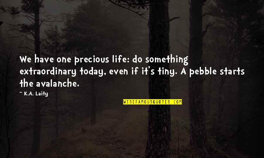 It Starts Today Quotes By K.A. Laity: We have one precious life: do something extraordinary It Starts Today Quotes By K.A. Laity: We have one precious life: do something extraordinary