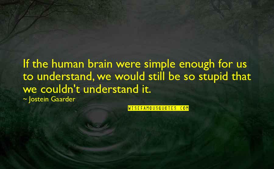 It That Simple Quotes By Jostein Gaarder: If the human brain were simple enough for
