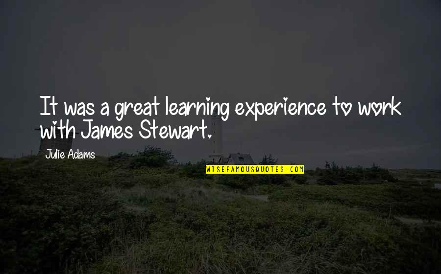 It Was A Great Learning Experience Quotes By Julie Adams: It was a great learning experience to work