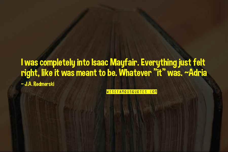 It Was At First Sight Quotes By J.A. Redmerski: I was completely into Isaac Mayfair. Everything just