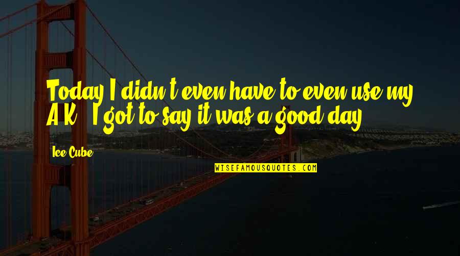 It Was Good Day Quotes By Ice Cube: Today I didn't even have to even use