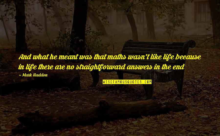 It Wasn't Meant To Be Quotes By Mark Haddon: And what he meant was that maths wasn't