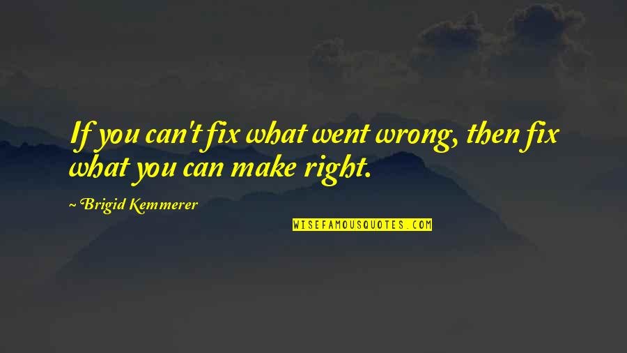 It Went Wrong Quotes By Brigid Kemmerer: If you can't fix what went wrong, then