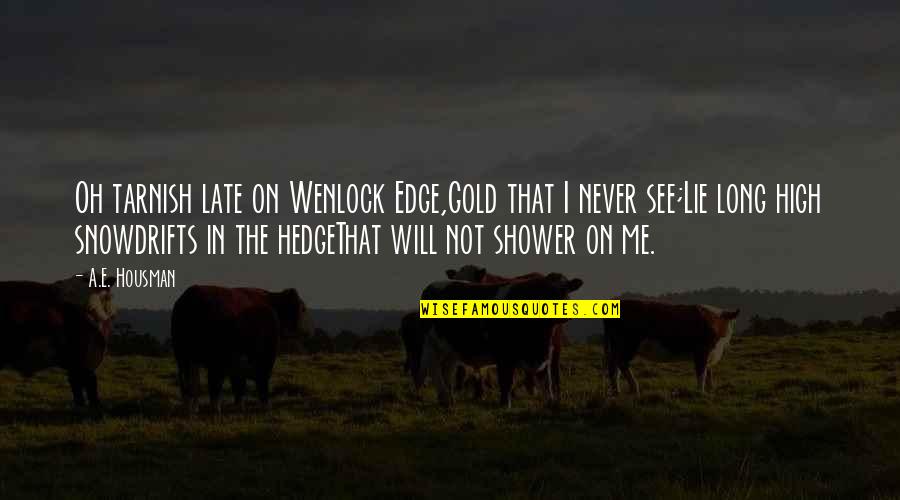It Will Be Too Late Quotes By A.E. Housman: Oh tarnish late on Wenlock Edge,Gold that I It Will Be Too Late Quotes By A.E. Housman: Oh tarnish late on Wenlock Edge,Gold that I