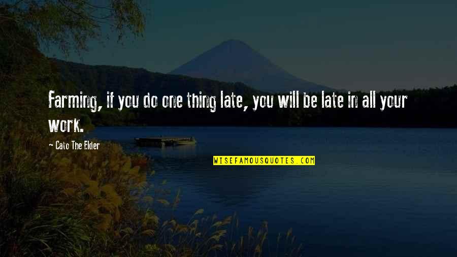 It Will Be Too Late Quotes By Cato The Elder: Farming, if you do one thing late, you