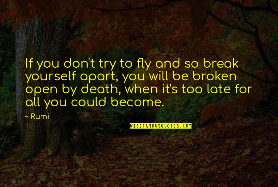 It Will Be Too Late Quotes By Rumi: If you don't try to fly and so It Will Be Too Late Quotes By Rumi: If you don't try to fly and so