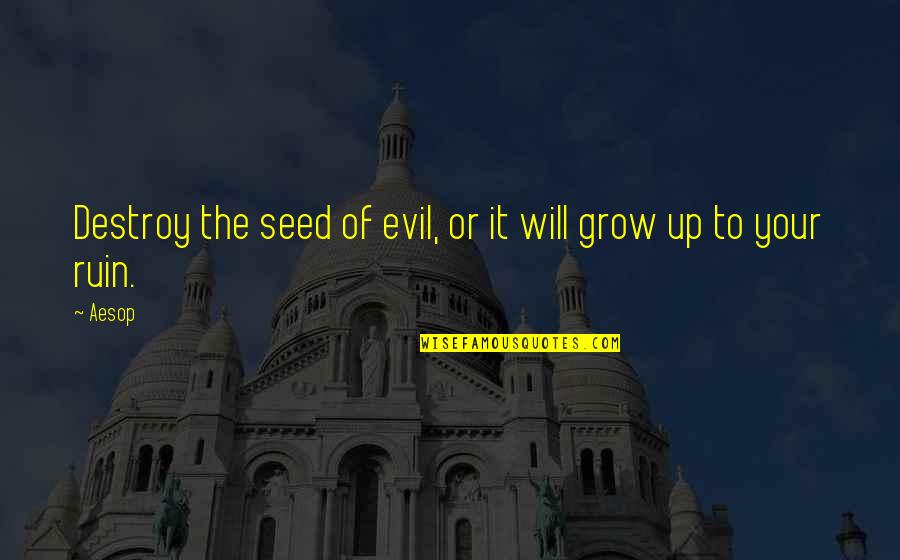 It Will Grow Quotes By Aesop: Destroy the seed of evil, or it will