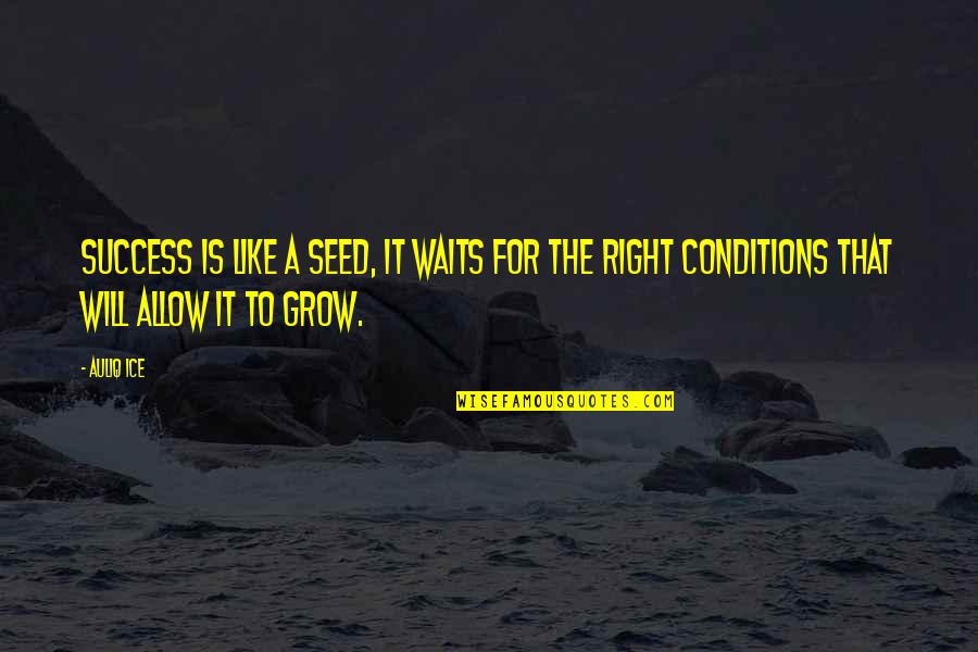 It Will Grow Quotes By Auliq Ice: Success is like a seed, it waits for