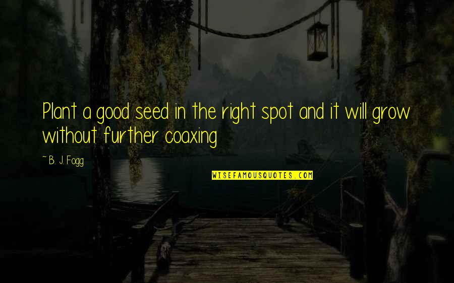 It Will Grow Quotes By B. J. Fogg: Plant a good seed in the right spot