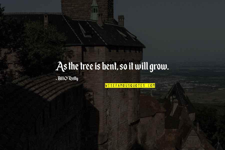 It Will Grow Quotes By Bill O'Reilly: As the tree is bent, so it will