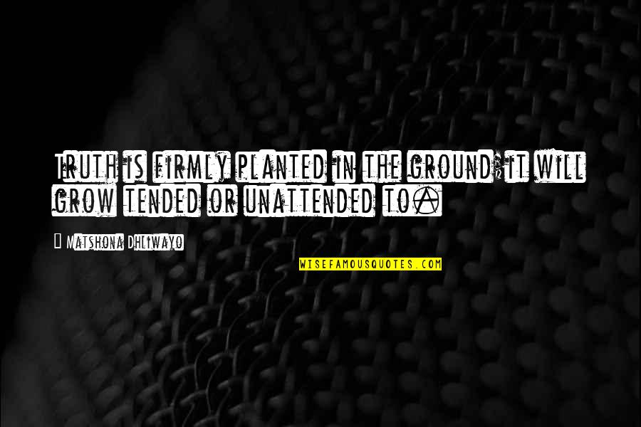 It Will Grow Quotes By Matshona Dhliwayo: Truth is firmly planted in the ground;it will