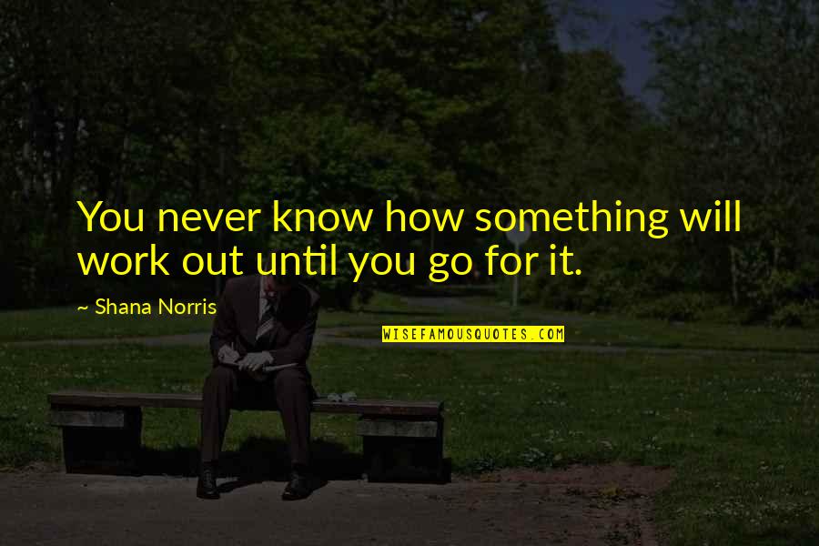 It Will Never Work Quotes By Shana Norris: You never know how something will work out