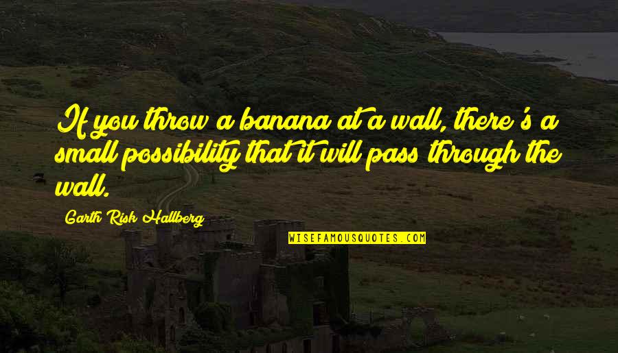 It Will Pass Quotes By Garth Risk Hallberg: If you throw a banana at a wall,