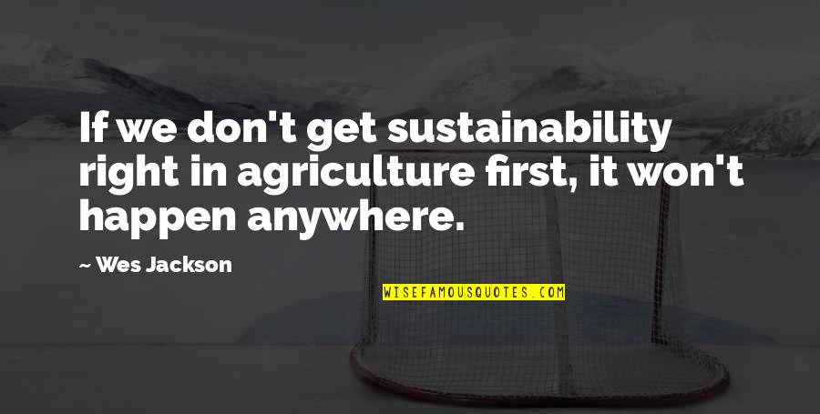 It Won't Happen Quotes By Wes Jackson: If we don't get sustainability right in agriculture