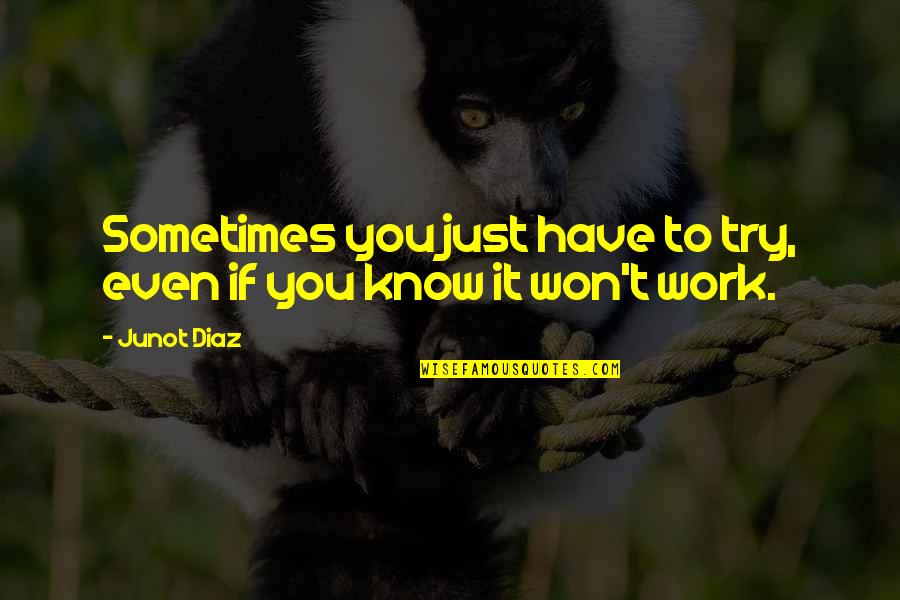 It Won't Work Quotes By Junot Diaz: Sometimes you just have to try, even if