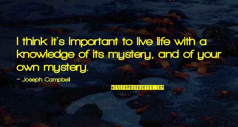 It Your Life Live It Quotes By Joseph Campbell: I think it's important to live life with