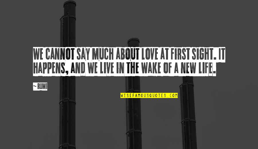 Italic Double Quotes By Rumi: We cannot say much about love at first Italic Double Quotes By Rumi: We cannot say much about love at first