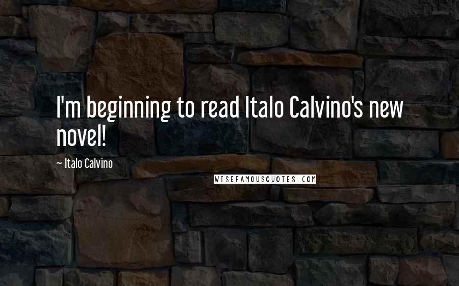 Italo Calvino quotes: I'm beginning to read Italo Calvino's new novel!