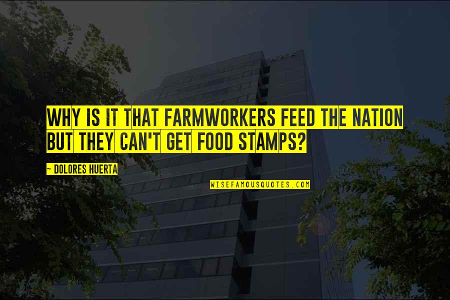 Itatex Quotes By Dolores Huerta: Why is it that farmworkers feed the nation