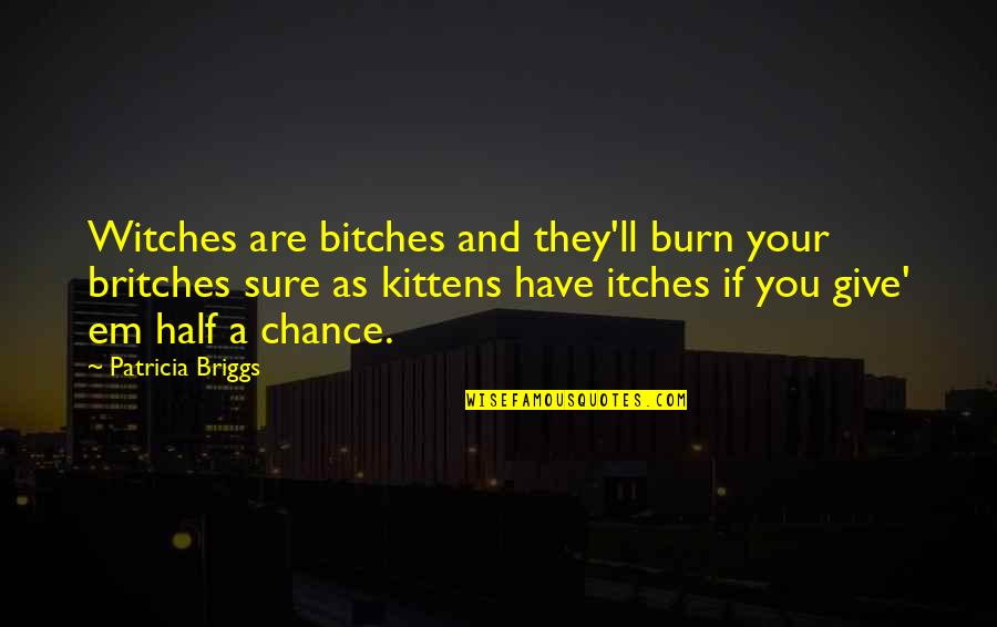 Itches Quotes By Patricia Briggs: Witches are bitches and they'll burn your britches