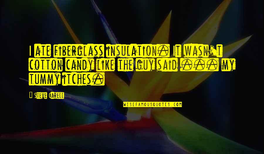 Itches Quotes By Steve Carell: I ate fiberglass insulation. It wasn't cotton candy