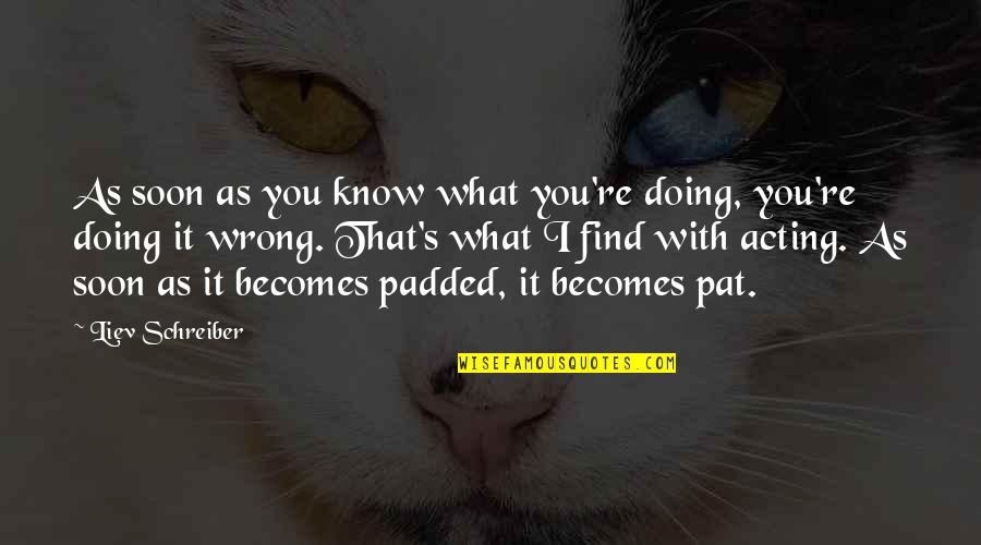 Itemising Quotes By Liev Schreiber: As soon as you know what you're doing,