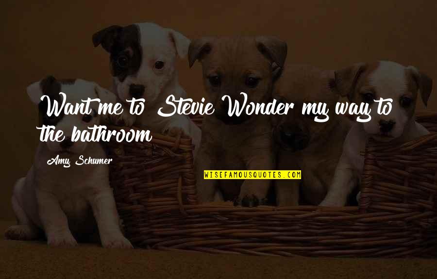 Ithaca Movie Quotes By Amy Schumer: Want me to Stevie Wonder my way to Ithaca Movie Quotes By Amy Schumer: Want me to Stevie Wonder my way to