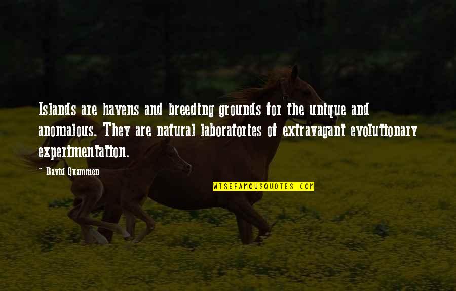 Itibari Quotes By David Quammen: Islands are havens and breeding grounds for the Itibari Quotes By David Quammen: Islands are havens and breeding grounds for the