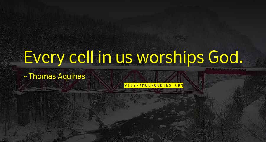 Itinerarios Michelin Quotes By Thomas Aquinas: Every cell in us worships God. Itinerarios Michelin Quotes By Thomas Aquinas: Every cell in us worships God.