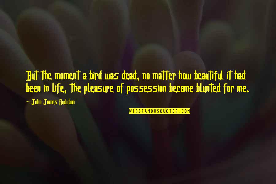 It's A Beautiful Life Quotes By John James Audubon: But the moment a bird was dead, no