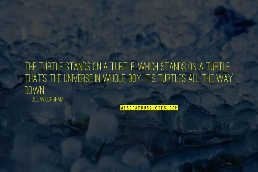 It's A Boy Quotes By Bill Willingham: The turtle stands on a turtle, which stands