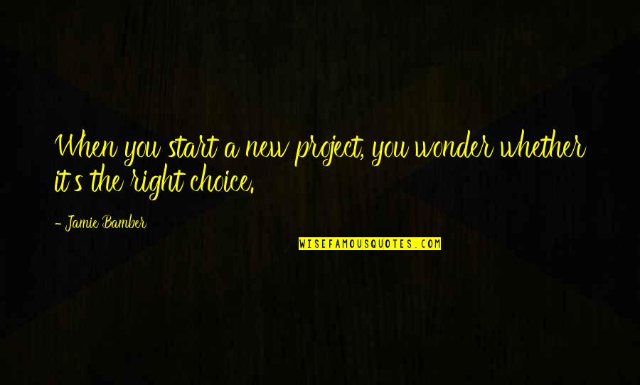 It's A Choice Quotes By Jamie Bamber: When you start a new project, you wonder