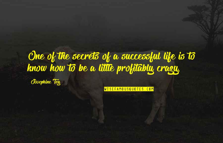 It's A Crazy Life Quotes By Josephine Tey: One of the secrets of a successful life