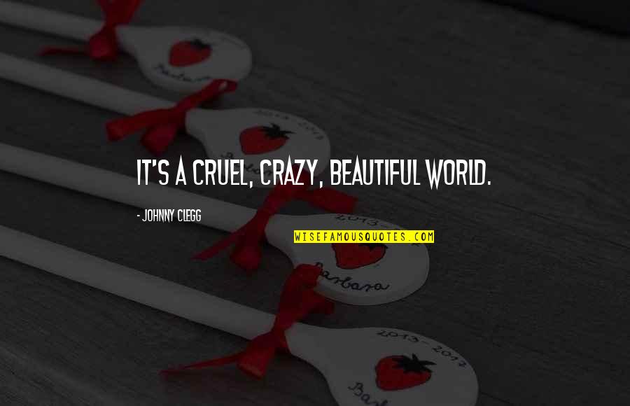 It's A Cruel World Out There Quotes By Johnny Clegg: It's a cruel, crazy, beautiful world.