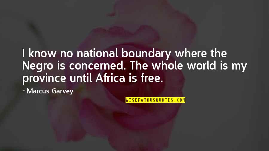 It's A Free World Quotes By Marcus Garvey: I know no national boundary where the Negro