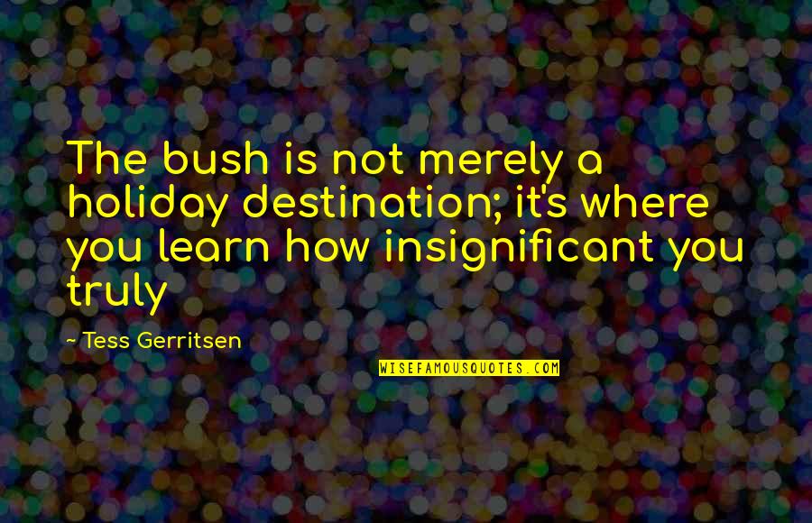 It's A Holiday Quotes By Tess Gerritsen: The bush is not merely a holiday destination;
