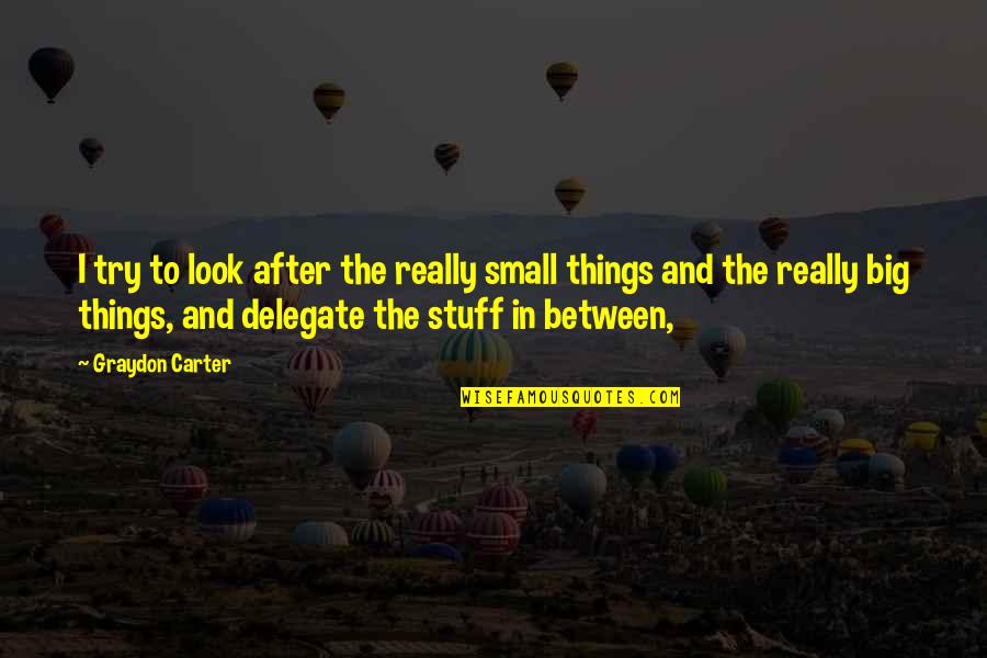 It's All Small Stuff Quotes By Graydon Carter: I try to look after the really small